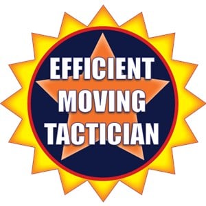 Efficient Moving Technician