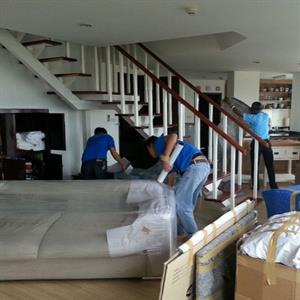 Exquisite Logistics