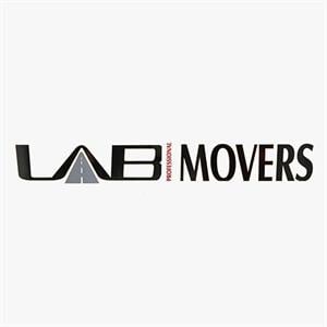Lab Professional Movers